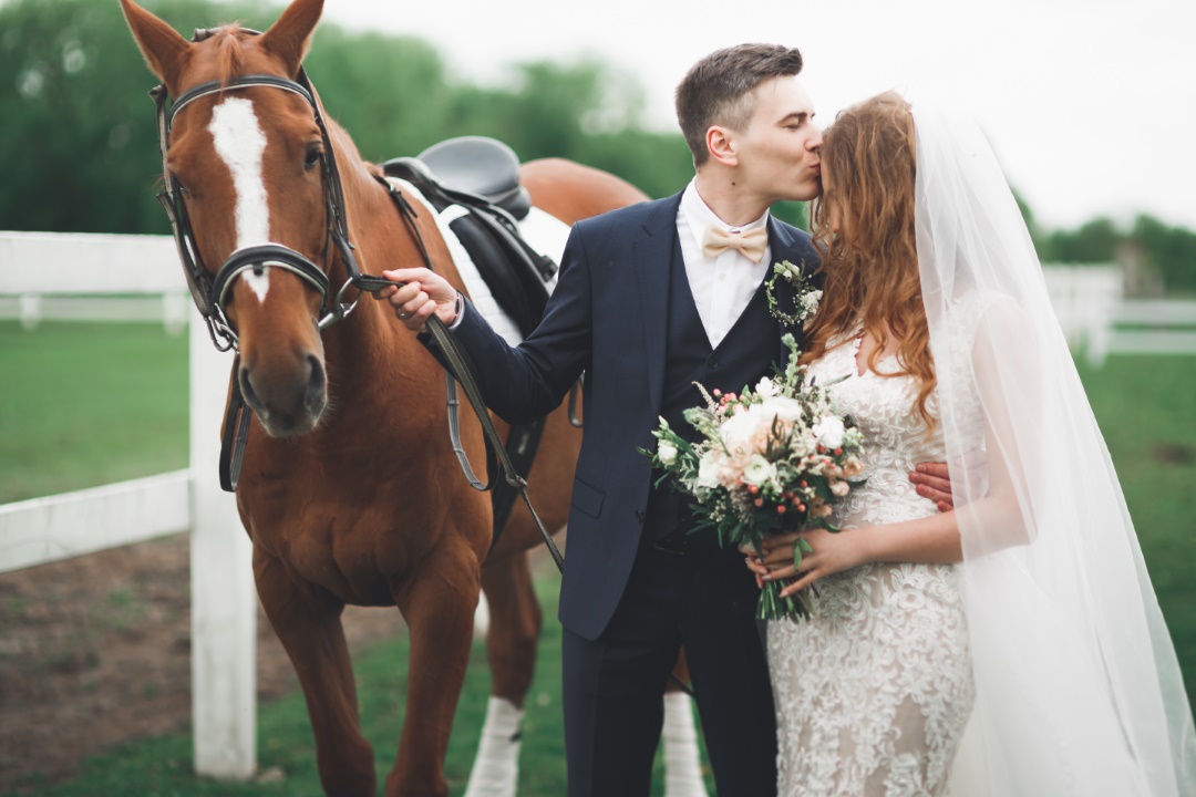 arrivée mariage cheval